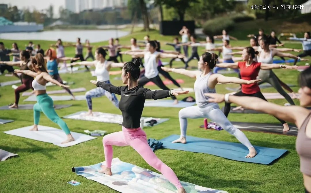 kaiyun开云官网平替环伺 lululemon「瑜伽界爱马仕」没有秘密(图2)