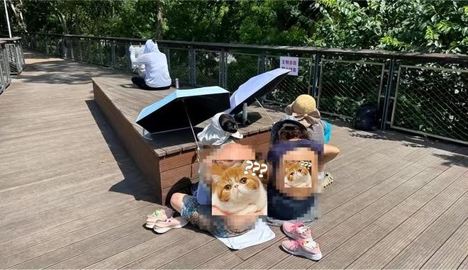 kaiyun官网上海晒背大妈太豪放不顾人来人往公园撩起衣服评论区吵翻(图3)
